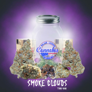 Tinnman的专辑Smoke Clouds (Explicit)