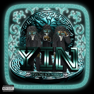 Album Y.I.N from Icebirds