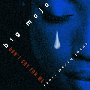 ดาวน์โหลดและฟังเพลง Don't Cry for Me (Original Mix) พร้อมเนื้อเพลงจาก Big Mojo