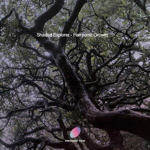 ดาวน์โหลดและฟังเพลง Hermit พร้อมเนื้อเพลงจาก Shaded Explorer