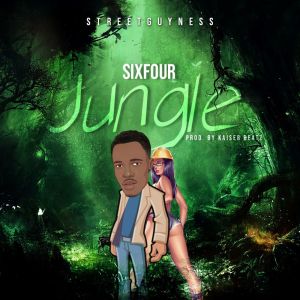 Album Jungle from SixFour