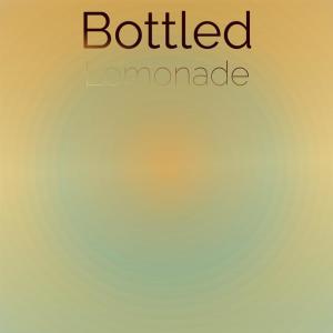 ดาวน์โหลดและฟังเพลง Bottled Lemonade พร้อมเนื้อเพลงจาก Ardo Jeber