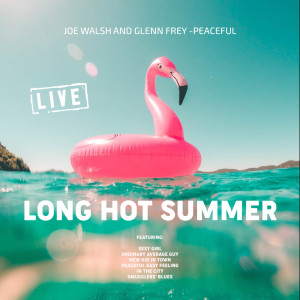 Listen to Sexy Girl (Live) song with lyrics from Joe Walsh