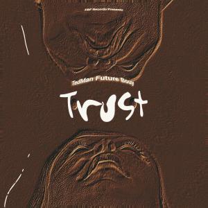 TedMan Future Mfana的專輯TRUST