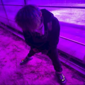 收聽Rare Phantom的byeanymeans (Explicit)歌詞歌曲