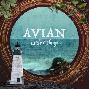 Avian的專輯Little Things