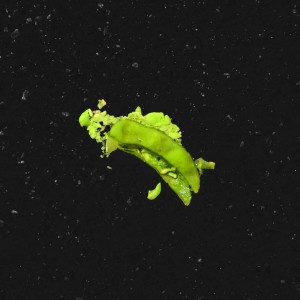 ดาวน์โหลดและฟังเพลง edamame (Diplo Remix) พร้อมเนื้อเพลงจาก Diplo