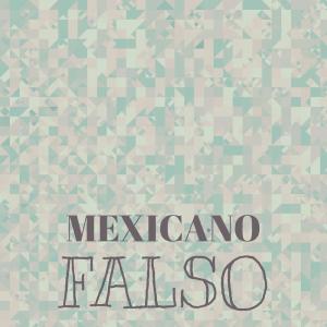 Album Mexicano Falso from Various