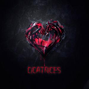 ดาวน์โหลดและฟังเพลง CICATRICES พร้อมเนื้อเพลงจาก Maty