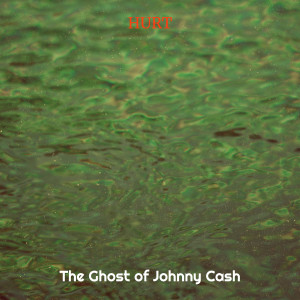 The Ghost of Johnny Cash的专辑Hurt