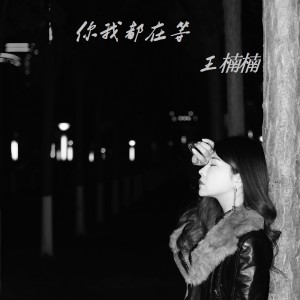 收聽王楠楠的你我都在等歌詞歌曲