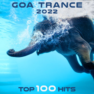Album Goa Trance 2022 Top 100 Hits from Goa Doc