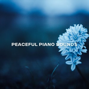 Relaxed Minds的專輯Peaceful Piano Sounds