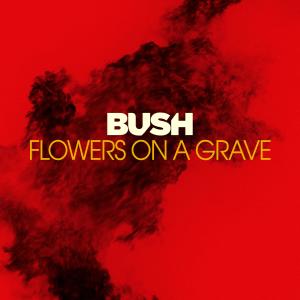 ดาวน์โหลดและฟังเพลง Flowers On A Grave พร้อมเนื้อเพลงจาก Bush