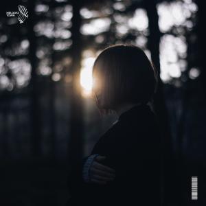 Listen to sos (slowed + reverb) song with lyrics from Vallvete