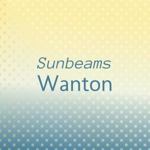 Various Artists的專輯Sunbeams Wanton