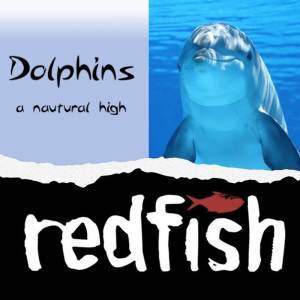 收聽Redfish的Dolphins - A Natural High歌詞歌曲