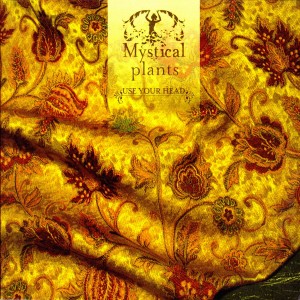 Listen to King of Playa (Pluto Project / Mystical Plants Remix) song with lyrics from Mystical Plants