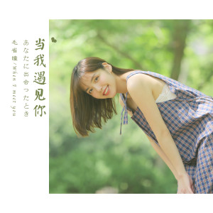 Listen to 当我遇见你 (伴奏) song with lyrics from 毛省曈
