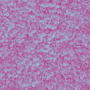 收聽Matthew James Hemmer的cherryblossoms歌詞歌曲