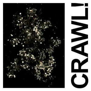 Album Crawl! (DGG Edit) (Explicit) from Idles