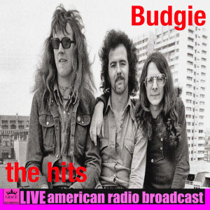 ดาวน์โหลดและฟังเพลง Wildfire พร้อมเนื้อเพลงจาก Budgie