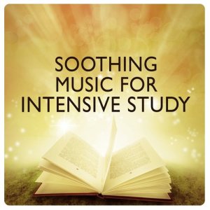 ดาวน์โหลดและฟังเพลง Scenes from Childhood, Op. 15: VII. Dreaming พร้อมเนื้อเพลงจาก Martin Jacoby