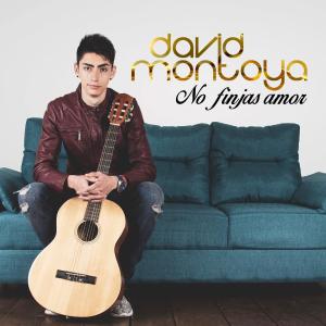 David Montoya的專輯No Finjas Amor