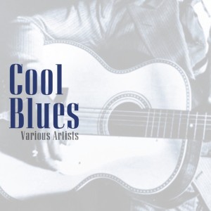 Listen to Midnight Steppers song with lyrics from Big Bill Broonzy