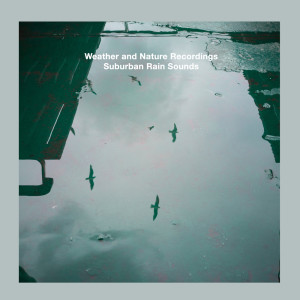 Dengarkan Soothing Thunderstorm lagu dari Weather and Nature Recordings dengan lirik