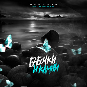 Album Бабочки и камни from Внешний