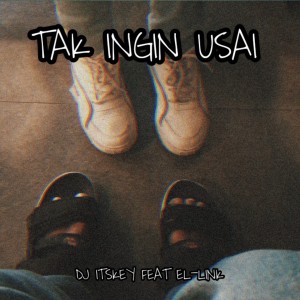 收听DJ Itskey的TAK INGIN USAI (Remix)歌词歌曲
