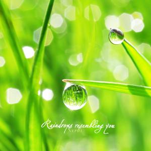 Nephi的专辑Raindrops Resembling You