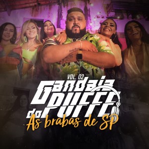 收聽Nina Capely的Gandaia do Puffe, Vol. 2 - As Brabas de SP (Explicit)歌詞歌曲