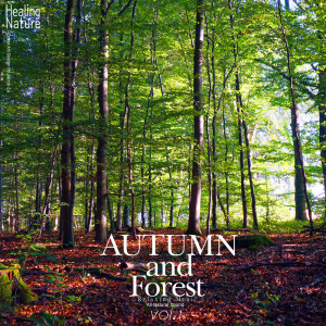 收听힐링 네이쳐 Nature Sound Band的Healthful Forest Sound歌词歌曲