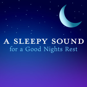 ดาวน์โหลดและฟังเพลง Slumberland Opera พร้อมเนื้อเพลงจาก Relaxing BGM Project