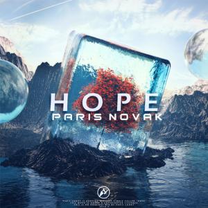 Listen to Hope song with lyrics from Paris Looky