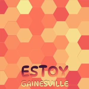 Various Artists的專輯Estoy Gainesville