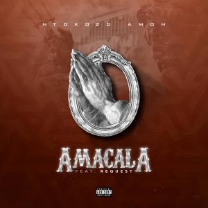 Ntokozo Amoh的專輯Amacala (feat. Request)