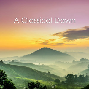 Johann Pachelbel的專輯A Classical Dawn: Pachelbel