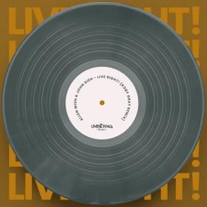 ดาวน์โหลดและฟังเพลง Live Right! (Koby Gray Remix) พร้อมเนื้อเพลงจาก John Dish