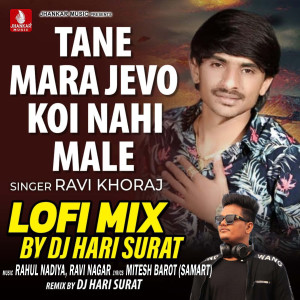 Ravi Khoraj的專輯Tane Mara Jevo Koi Nahi Male (Lofi Mix)