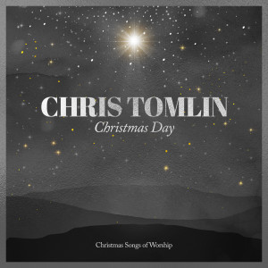 ดาวน์โหลดและฟังเพลง His Name Is Wonderful พร้อมเนื้อเพลงจาก Chris Tomlin