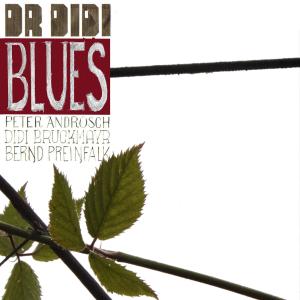 ดาวน์โหลดและฟังเพลง Boney Bones พร้อมเนื้อเพลงจาก Dr. DiDi