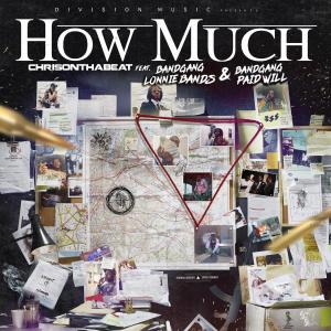 Listen to How Much (Explicit) song with lyrics from ChrisOnThaBeat