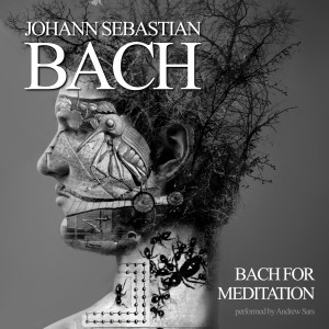 ดาวน์โหลดและฟังเพลง Goldberg Variations 2C BWV. 988 - Variation 8 พร้อมเนื้อเพลงจาก Johann Sebastian Bach