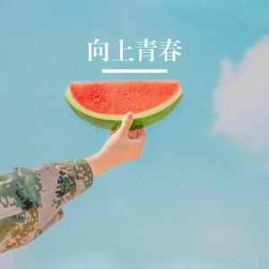 Album 向上青春 from 群星