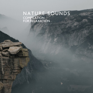 Nature Sounds Compilation for Relaxation and Cultivating Body and Mind Comfort (New Age Music)