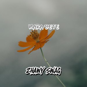 Album Mara Bete from ZHAWY SWAG