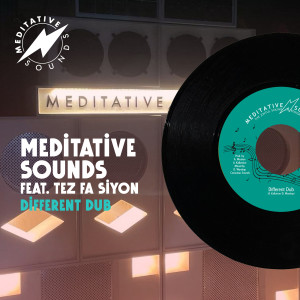 Album Different Dub from Meditative Sounds